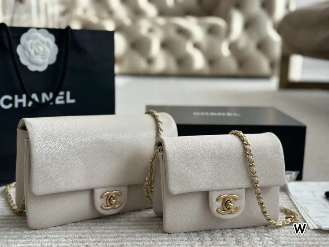 CC1067 Mini/Small Flap Bag