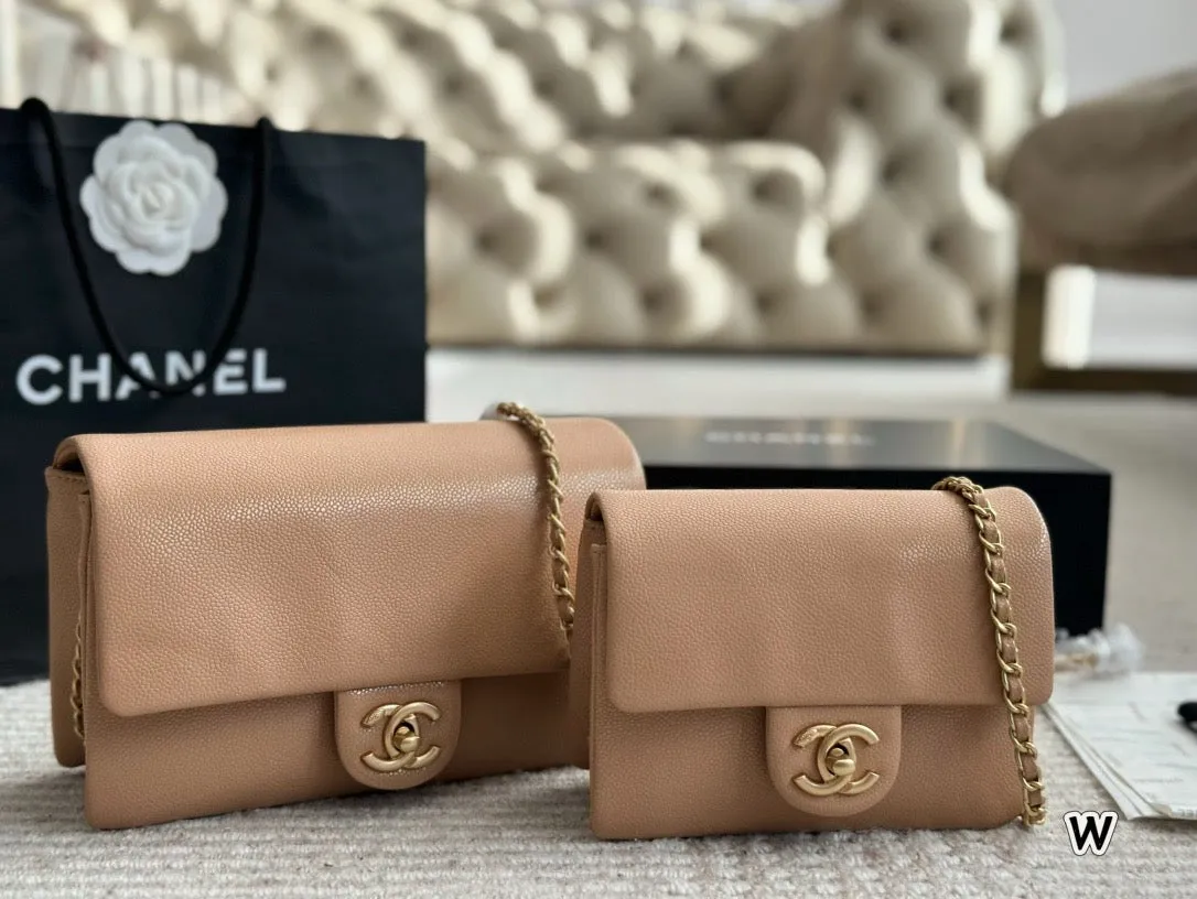 CC1067 Mini/Small Flap Bag