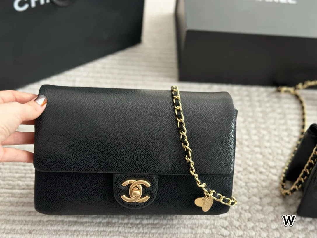 CC1067 Mini/Small Flap Bag