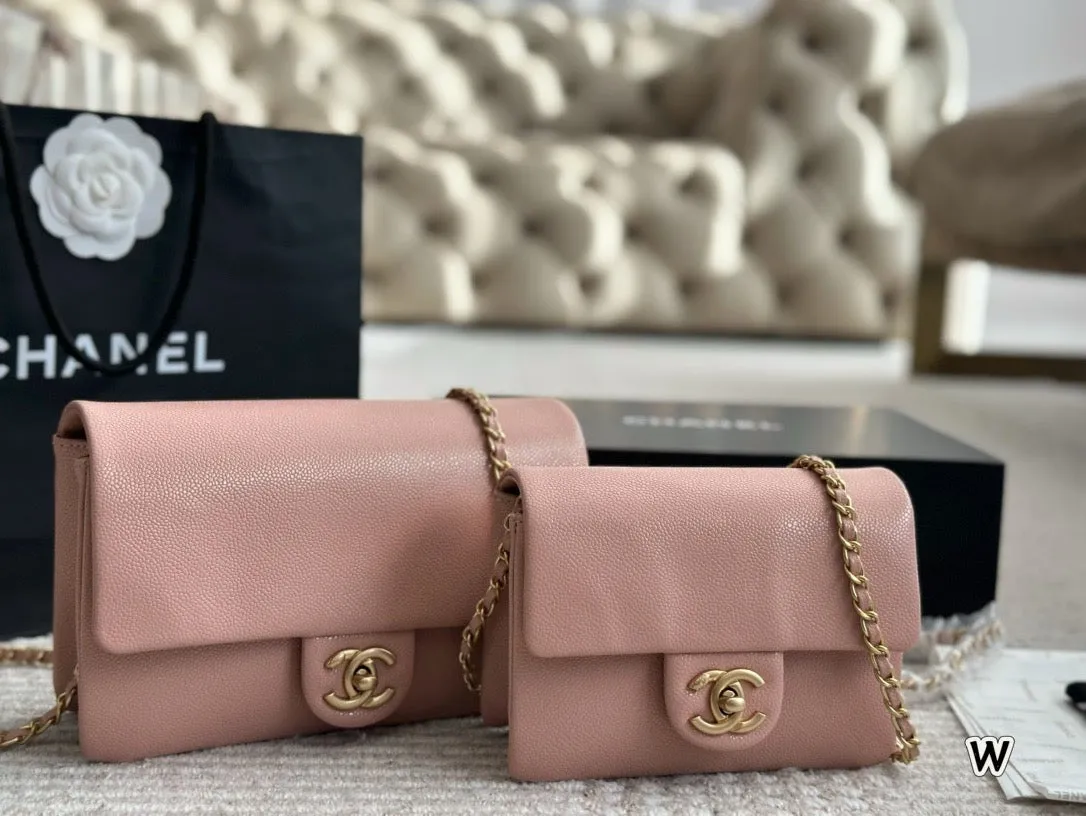 CC1067 Mini/Small Flap Bag