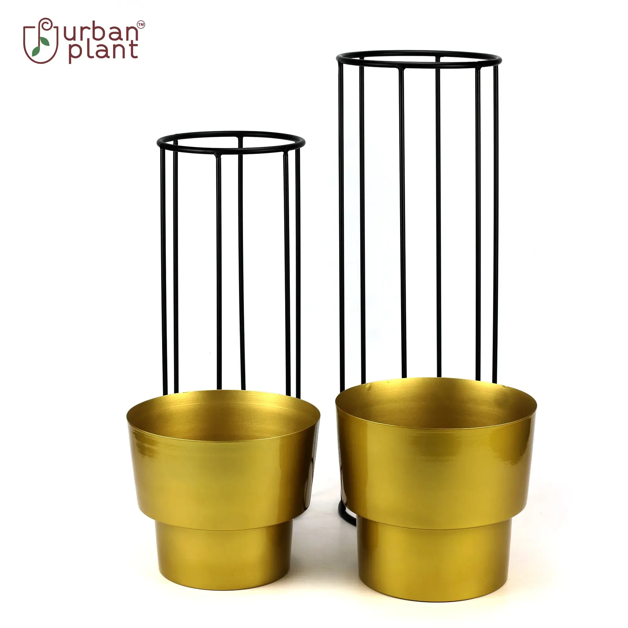 Exquisite Gold Planters - (Set of 2)