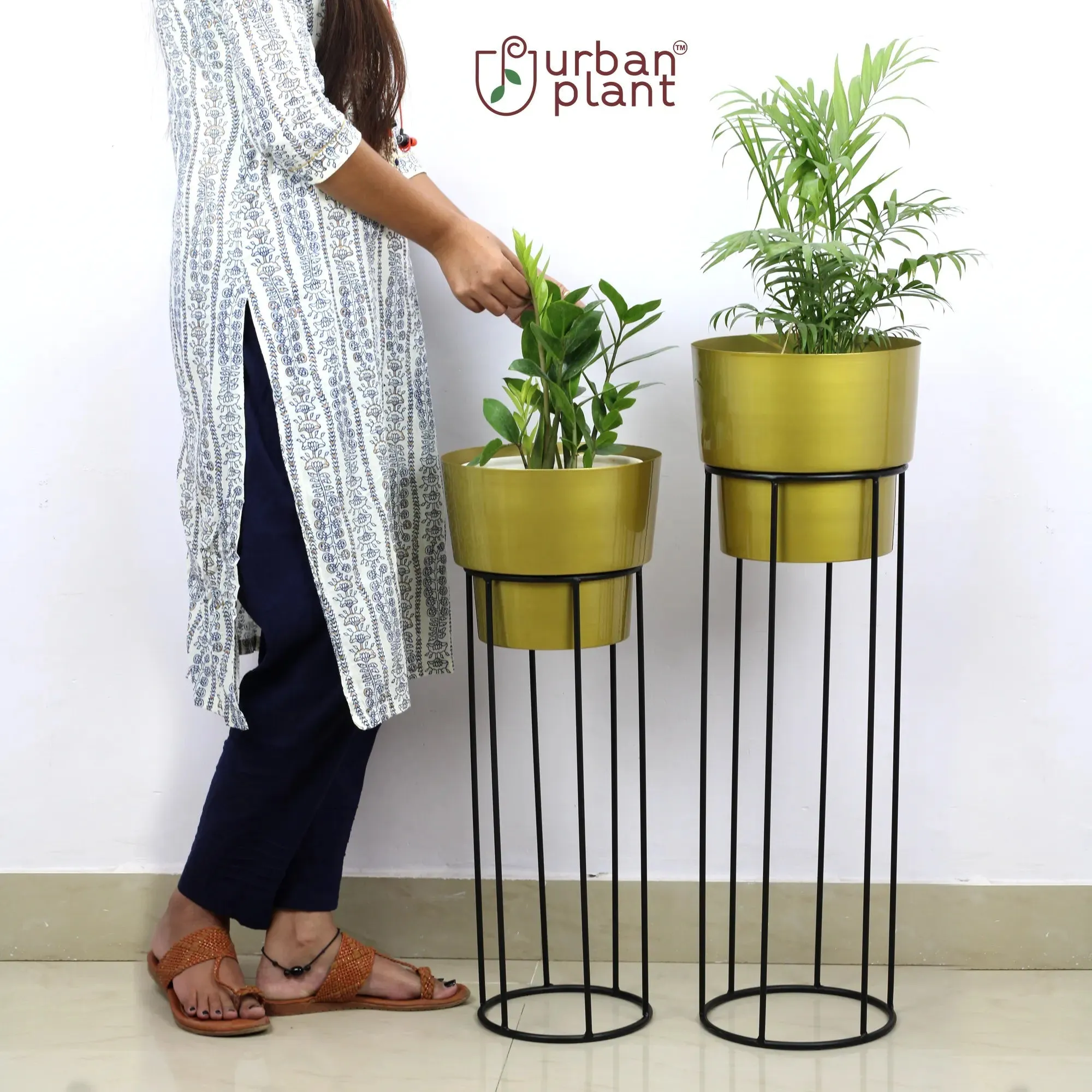 Exquisite Gold Planters - (Set of 2)
