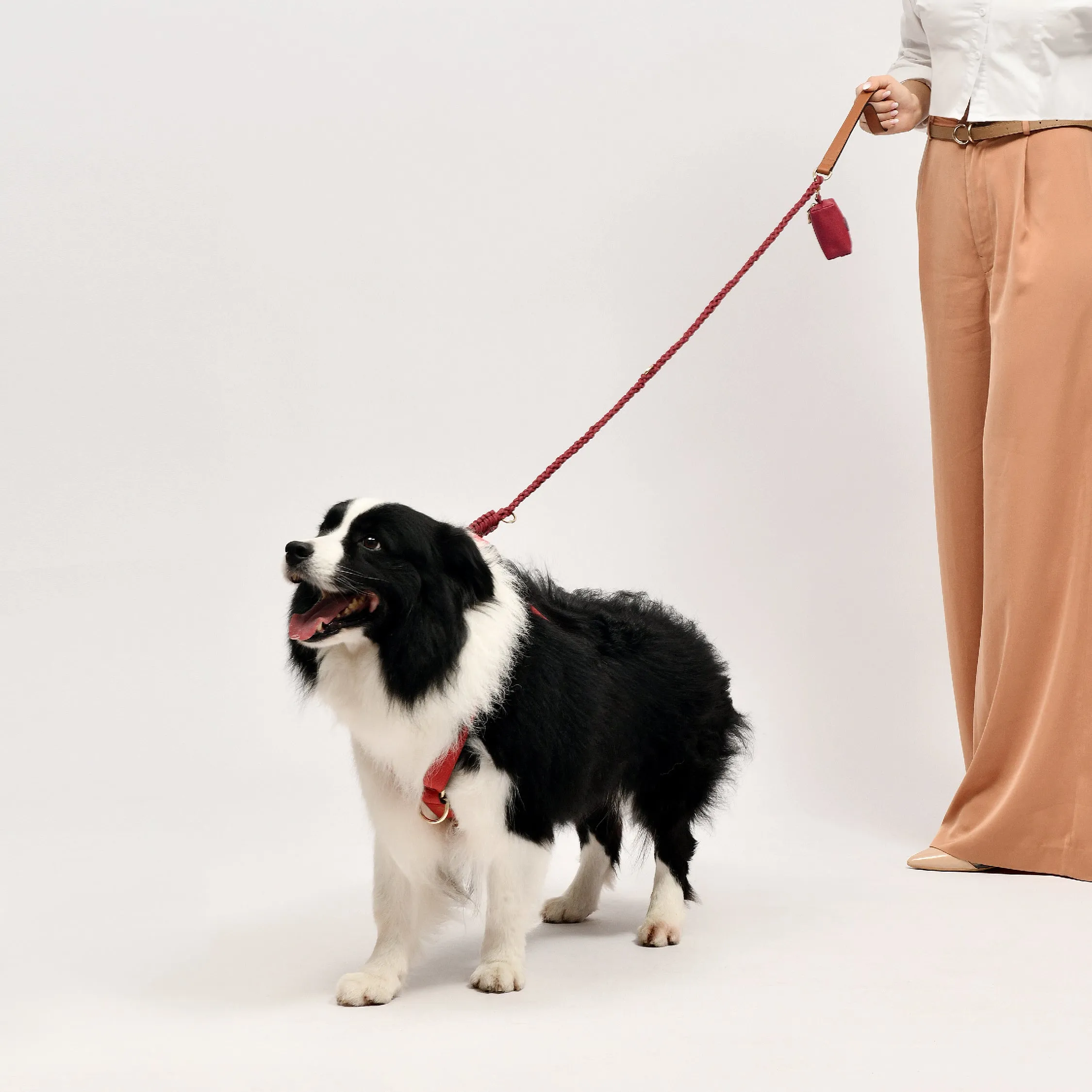 Exquisite Leather Dog Leash - Pink