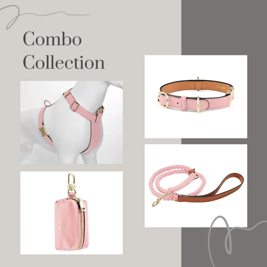 Exquisite Leather Dog Leash - Pink