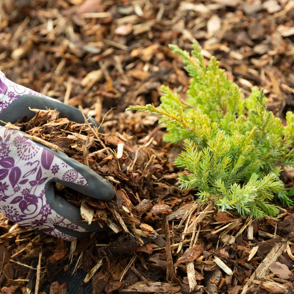 Landscaping Garden Bark Mulch