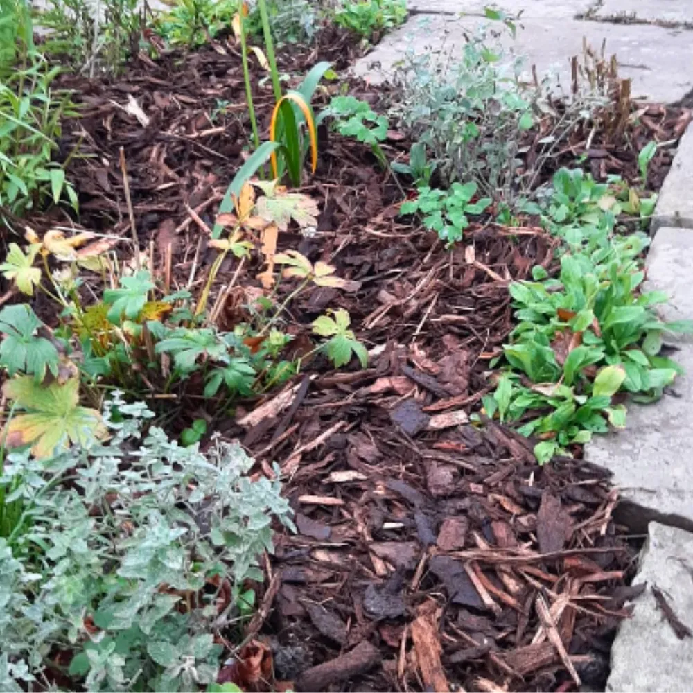 Landscaping Garden Bark Mulch