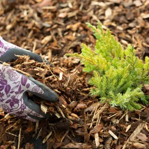 Landscaping Garden Bark Mulch