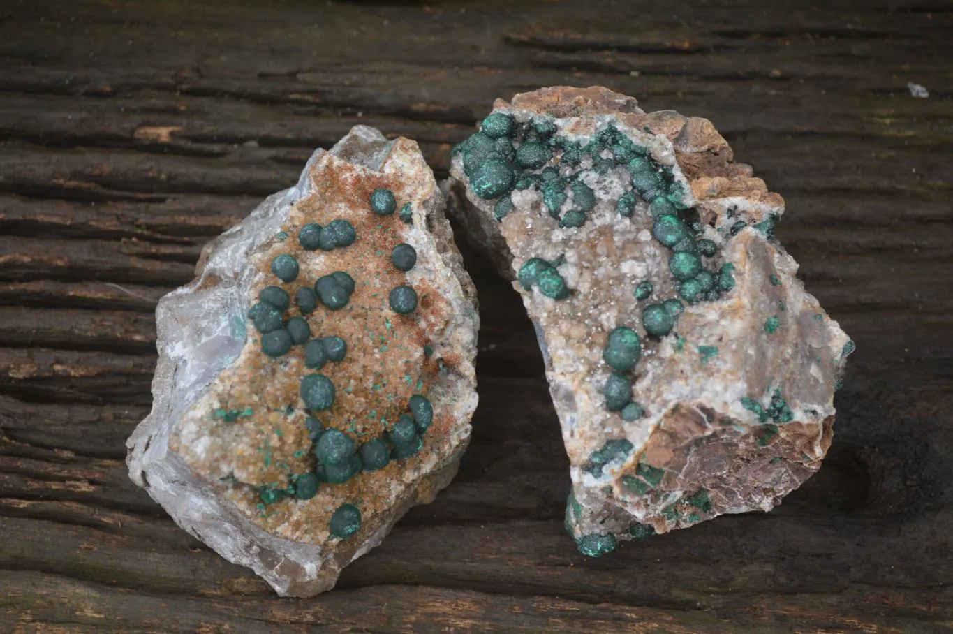 Natural Ball Malachite with Drusy Quartz on Dolomite Matrix Specimens x 2 From Mindingi Mine, Kambove, Congo