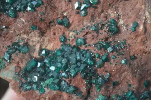 Natural Emerald Dioptase On Red Dolomite Matrix Specimen x 1 From Likasi, Congo