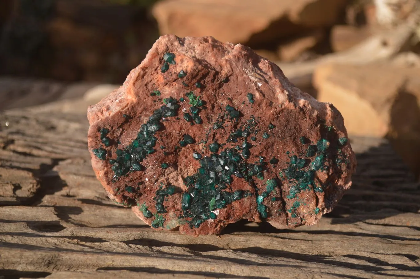 Natural Emerald Dioptase On Red Dolomite Matrix Specimen x 1 From Likasi, Congo