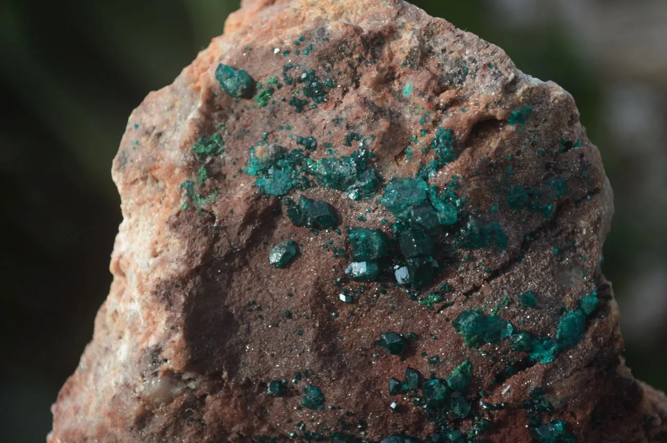 Natural Emerald Dioptase On Red Dolomite Matrix Specimen x 1 From Likasi, Congo