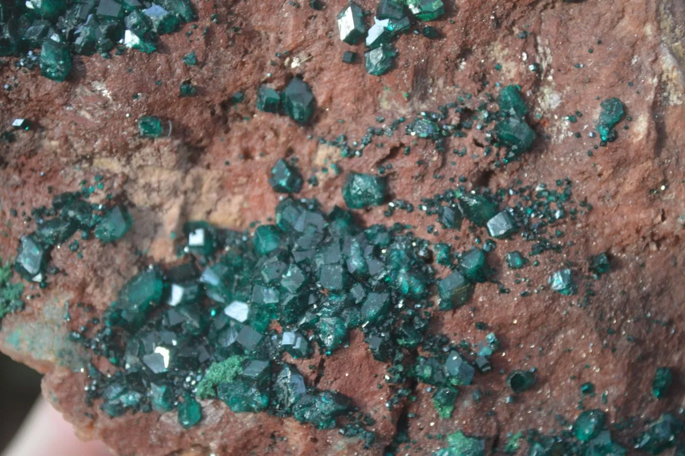 Natural Emerald Dioptase On Red Dolomite Matrix Specimen x 1 From Likasi, Congo