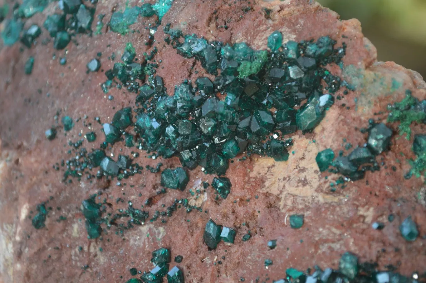 Natural Emerald Dioptase On Red Dolomite Matrix Specimen x 1 From Likasi, Congo
