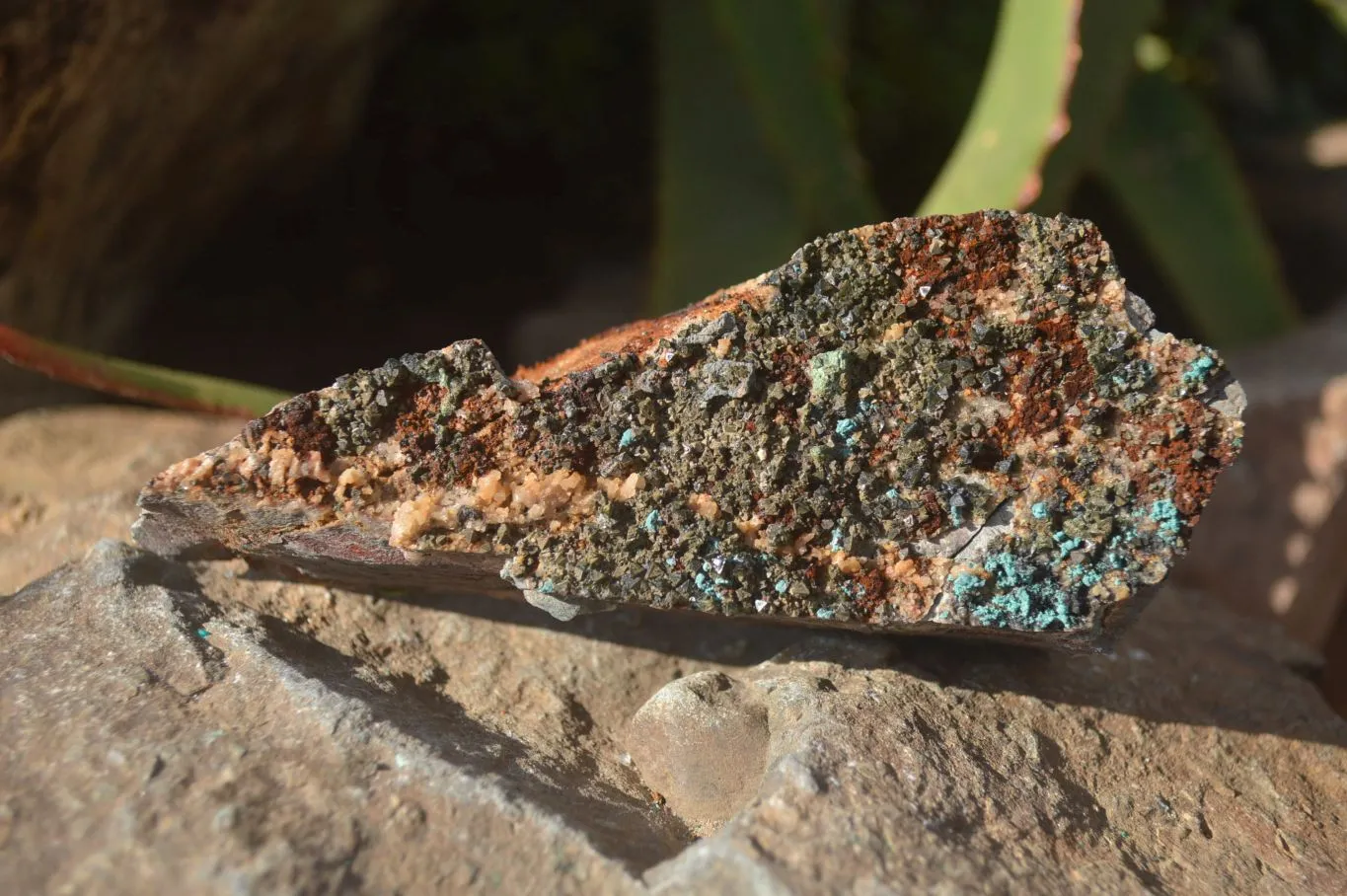 Natural Libethenite Crystals On Dolomite Matrix Specimens x 7 From Shituru, Congo