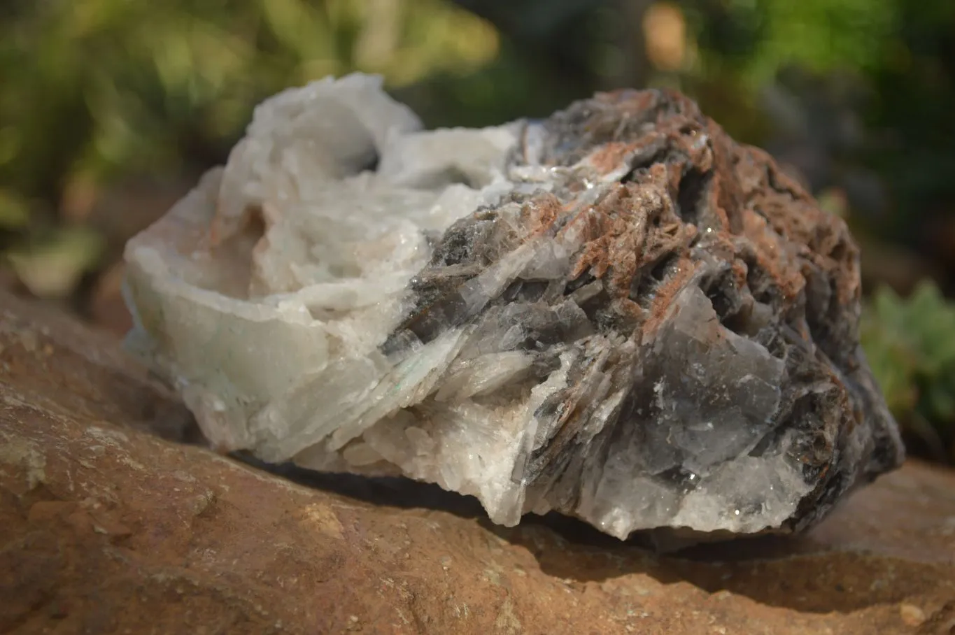 Natural Rare Bladed Barite Specimen x 1 From Congo