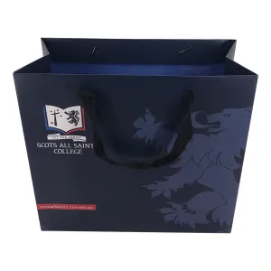 Paper Landscape Gift Bag-Medium(LP-07)