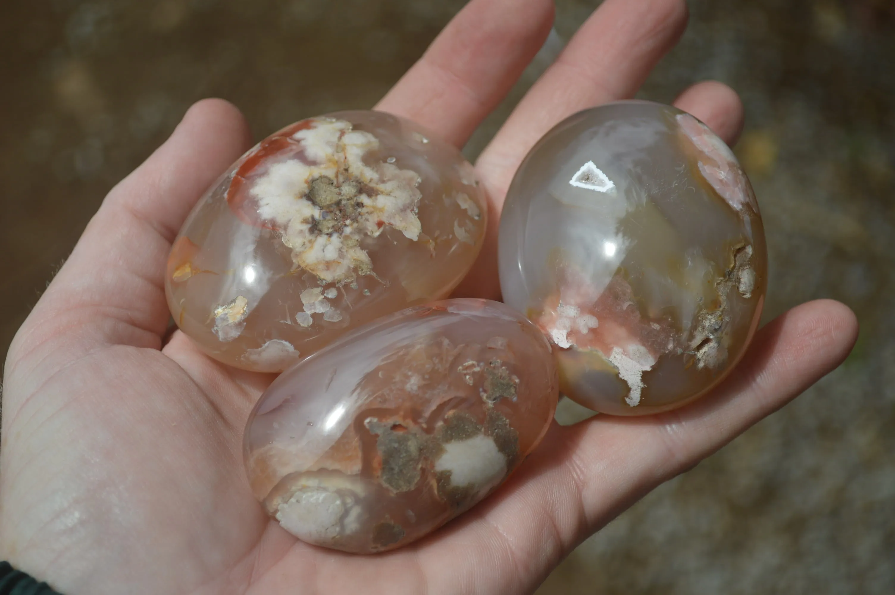Polished Flower Agate Palm Stones x 24 From Antsahalova, Madagascar