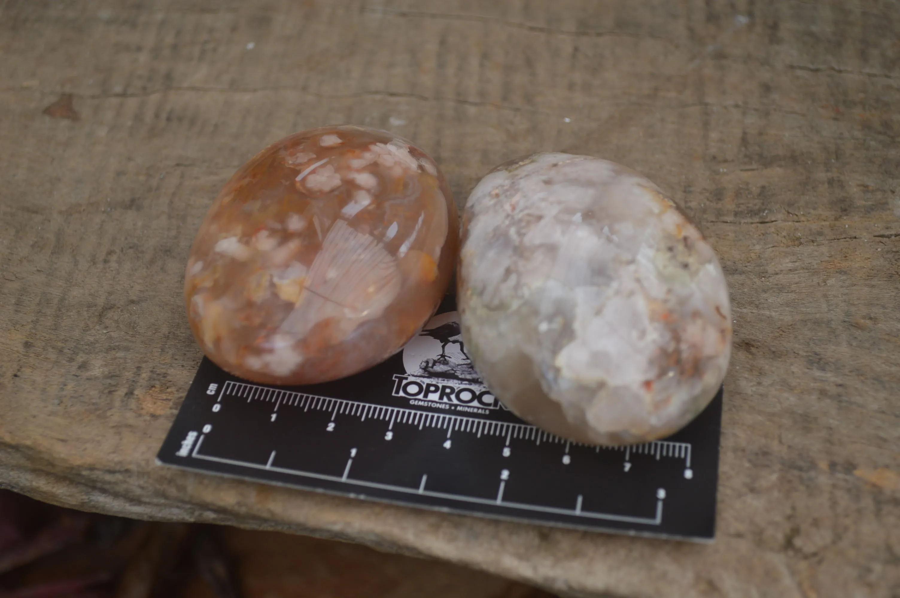 Polished Flower Agate Palm Stones x 24 From Antsahalova, Madagascar