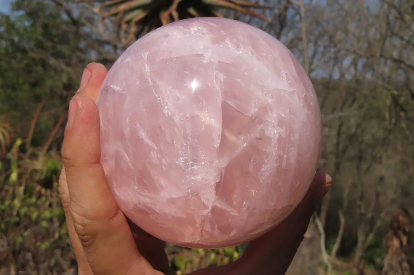 Polished Star Rose Quartz Sphere x 1 From Antsirabe, Madagascar