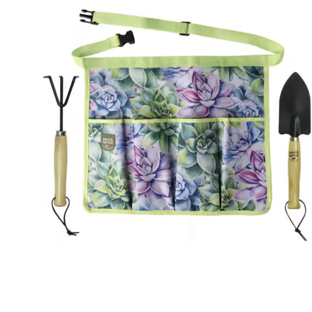 Seed & Sprout Simply Succulent Gardening Set