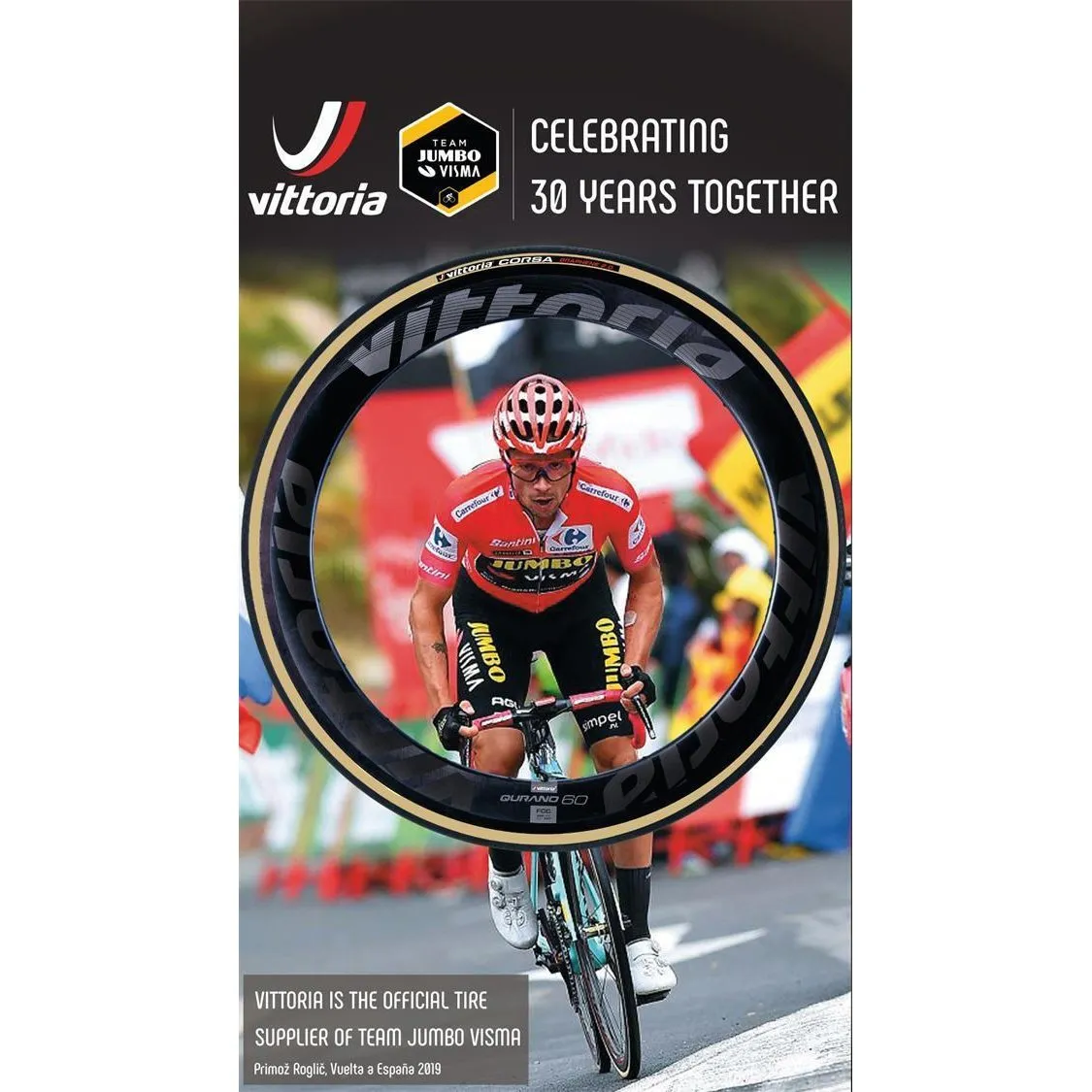 Vittoria Corsa Control 700c G2.0 Tyre